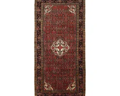 Asadabad orientalisk matta 168 x 327 cm