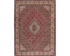 Bidjar Zandjan orientalisk matta 252 x 347 cm