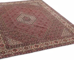 Bidjar Zandjan orientalisk matta 252 x 347 cm