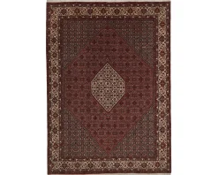 Bidjar Zandjan orientalisk matta 248 x 350 cm