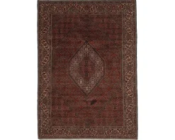 Bidjar Zandjan orientalisk matta 206 x 300 cm