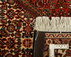 Bidjar Zandjan orientalisk matta 206 x 300 cm