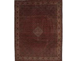 Bidjar Zandjan orientalisk matta 248 x 349 cm