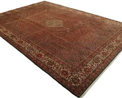 Bidjar Zandjan orientalisk matta 248 x 349 cm