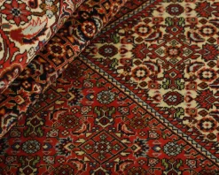 Bidjar Zandjan orientalisk matta 248 x 349 cm