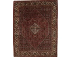 Bidjar Zandjan orientalisk matta 253 x 351 cm