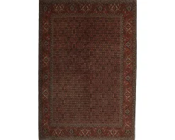 Bidjar Zandjan orientalisk matta 201 x 290 cm