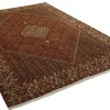 Bidjar Zandjan orientalisk matta 200 x 301 cm