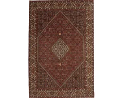 Bidjar Zandjan orientalisk matta 200 x 301 cm
