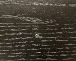 Kopparbo matbord 200 cm svart