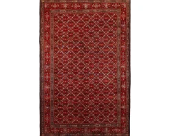 Moud Mahi orientalisk matta 201 x 312 cm