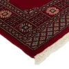 Pakistan handknotted orientalisk matta 94 x 161 cm
