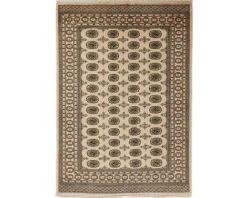 Pakistan handknotted orientalisk matta 171 x 245 cm