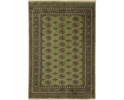 Pakistan handknotted orientalisk matta 170 x 247 cm