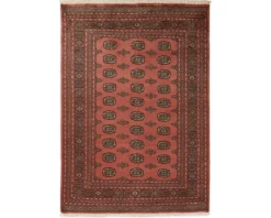Pakistan handknotted orientalisk matta 168 x 236 cm
