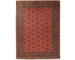 Pakistan handknotted orientalisk matta 171 x 227 cm