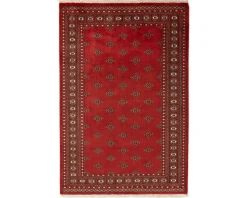 Pakistan handknotted orientalisk matta 171 x 250 cm