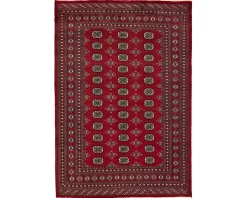 Pakistan handknotted orientalisk matta 171 x 247 cm