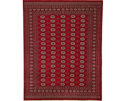 Pakistan handknotted orientalisk matta 247 x 314 cm