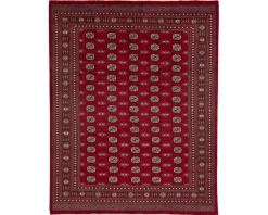 Pakistan handknotted orientalisk matta 250 x 316 cm