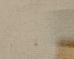 Rugvista Handloom Flat matta 300 x 400 cm naturvit