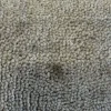 Rugvista Premium Handloom Fringes ullmatta 250 x 350 cm silver