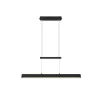 Trio Lighting Paros pendellampa svart