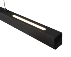 Trio Lighting Paros pendellampa svart